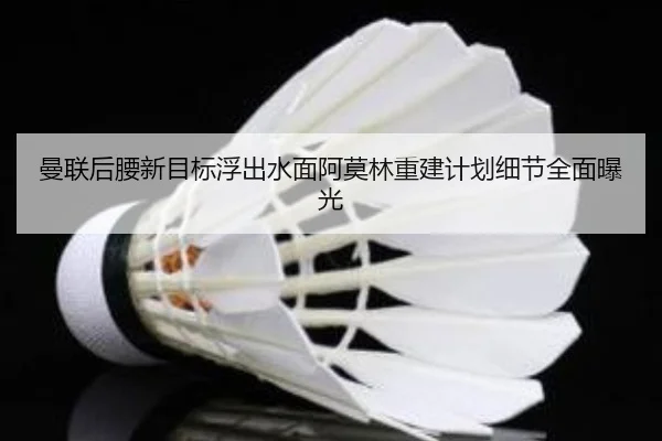 曼联后腰新目标浮出水面阿莫林重建计划细节全面曝光